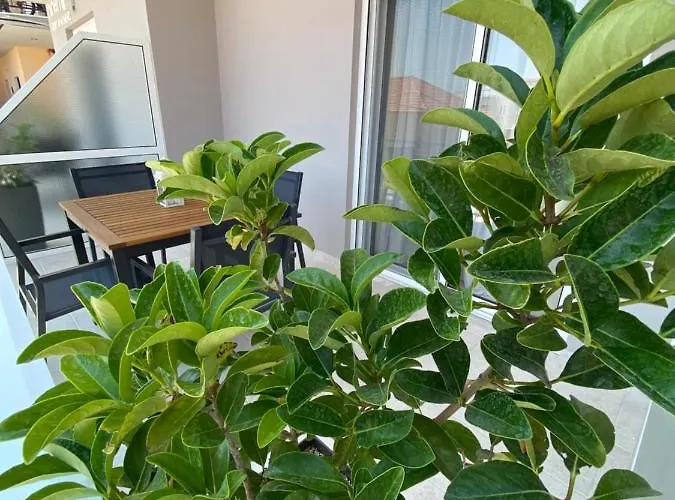 Apartamento Ninemia Luxury *